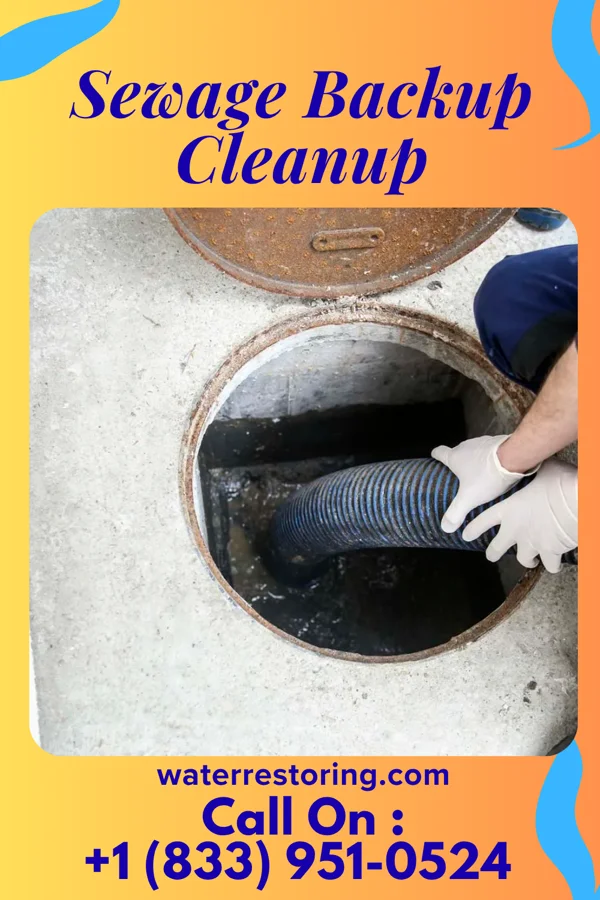 Sewage Backup Cleanup in Christie, OK